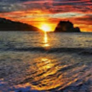 Meet your Posher, Ericka